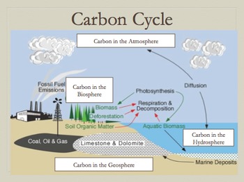 Kulstof C diagram