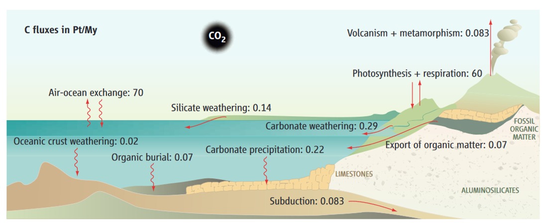 carbon dioxide